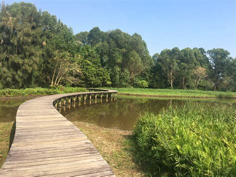 壽光溼地公園有哪些，探索自然與人文的交融之處